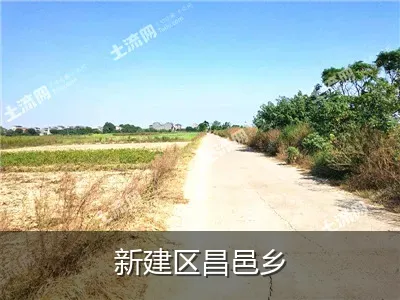 新建区昌邑乡